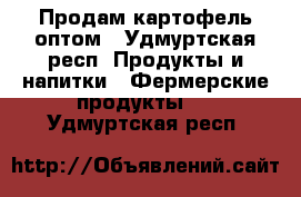 Продам картофель оптом - Удмуртская респ. Продукты и напитки » Фермерские продукты   . Удмуртская респ.